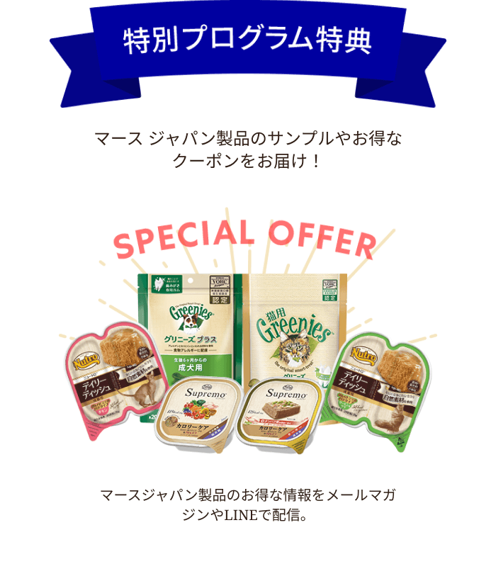 special-offer